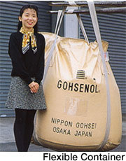 Flexible Container